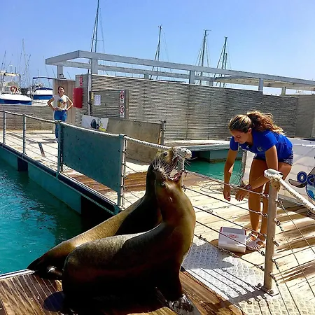 Madelia Villa Antigua (Fuerteventura)